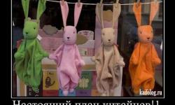 Настоящий план китайцев