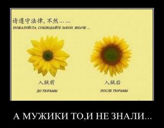 Мужики