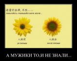 Мужики