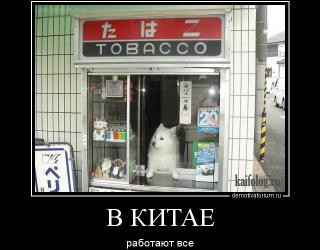 В Китае