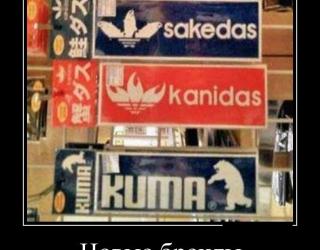 Новые бренды