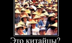 Это китайцы?