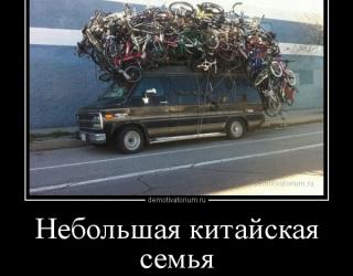 Небольшая китайская семья